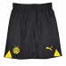 23/24 Borussia Dortmund Home Yellow Black Jersey Kit short Sleeve (Shirt + Short)-1118866