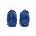PREDATOR EDGE.1 LOW FG Soccer Shoes-Blue/Red-7556102