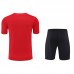 Bayern Munich kit Training Suit Shorts Kit Jersey (Shirt + Short + Sock)-8891799