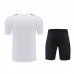 Bayern Munich kit Training Suit Shorts Kit Jersey (Shirt + Short + Sock)-3960089