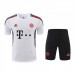 Bayern Munich kit Training Suit Shorts Kit Jersey (Shirt + Short + Sock)-3960089