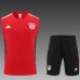 22/23 FC Bayern Munich vest training suit kit red Suit Shorts Kit Jersey (Vest + Short)-5283249