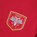 2022 World Cup National Team Serbia home Red Jersey version short sleeve-9285624