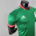 2022 World Cup National Team Mexico Special Edition Green Jersey version short sleeve-8372217