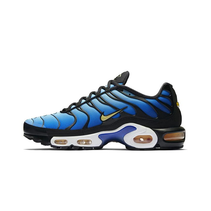 Air Max Plus TN Running Shoes-Blue/Black-4233058