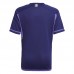 2022 World Cup Argentina 3-Star Away Purple Jersey Kit short sleeve-1557064
