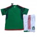 2022 World Cup Mexico Home Green suit short sleeve kit Jersey (Shirt + Short +Sock)-2765613