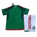 2022 World Cup Mexico Home Green suit short sleeve kit Jersey (Shirt + Short)-5589069