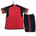2022 World Cup Belgium Home Kids Red Jersey Kit short sleeve (Shirt + Short +Sock)-2474299