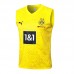 23/24 Borussia Dortmund Yellow vest training suit kit White Suit Shorts Kit Jersey (Vest + Short)-6757057