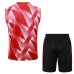 23/24 Bayern Munich Red White vest training suit kit White Suit Shorts Kit Jersey (Vest + Short)-7051536