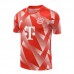 23/24 Bayern Munich Red Training jersey Kit short sleeve (Shirt + Short)-4897562