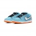SB Dunk Low Running Shoes-Blue/White-5106590