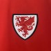 2024 Wales Home Red Jersey Kit short sleeve-7188866