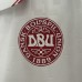 2024 Denmark Away White Jersey Kit short sleeve-7768708