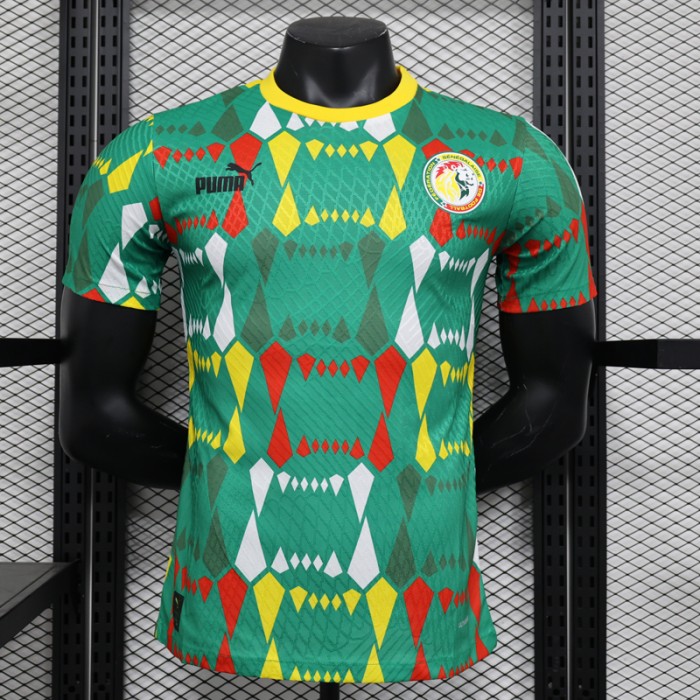 2023 Senegal Green Jersey Kit short sleeve (Player Version)-2667131