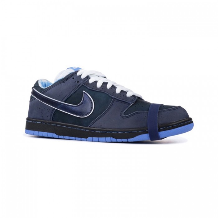 SB Dunk Low Running Shoes-Navy Blue-8923057